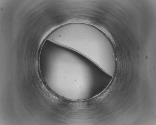 X0000067850896200604130916