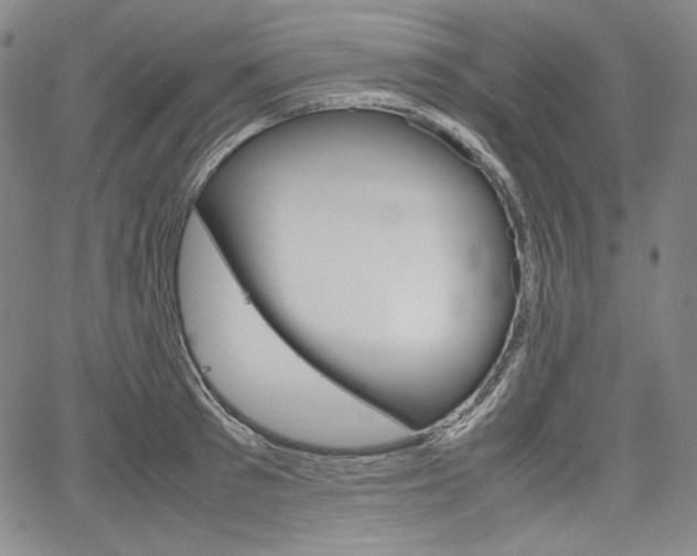 X0000067850897200604130916