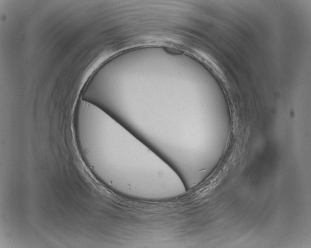 X0000067850899200604130916