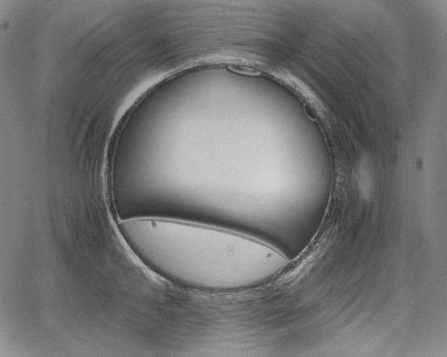 X0000067850902200604130916