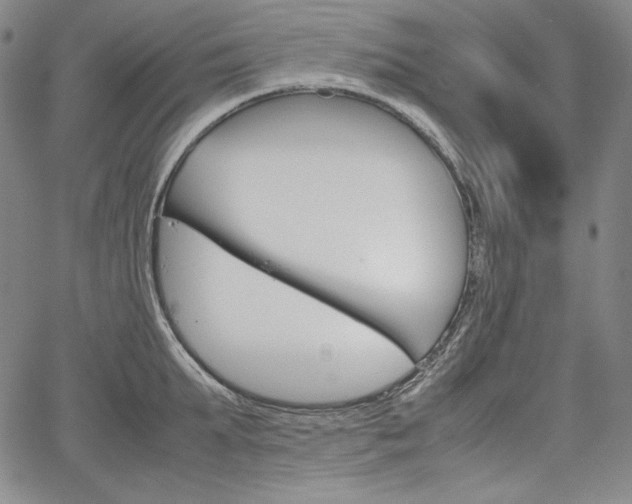 X0000067850903200604130916