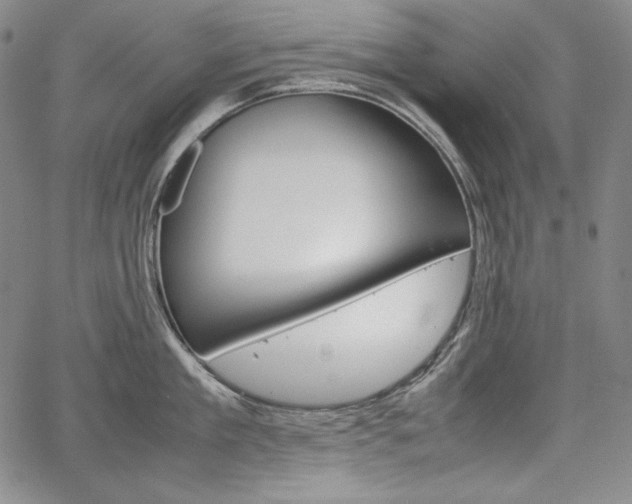 X0000067850909200604130916