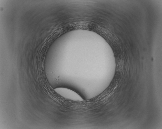 X0000067850913200604130915