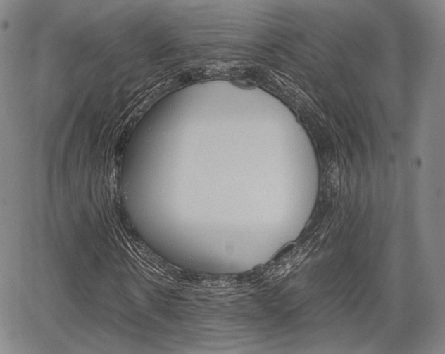 X0000067850914200604130915