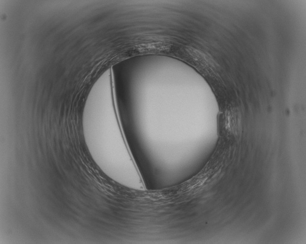 X0000067850915200604130915