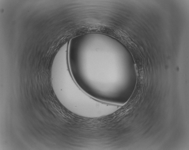 X0000067850916200604130915