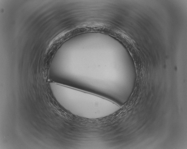 X0000067850920200604130915