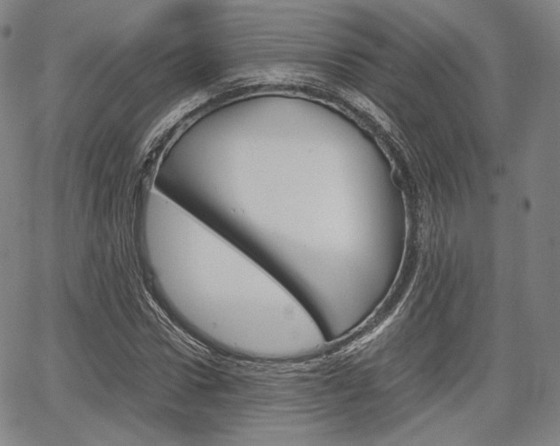 X0000067850922200604130915