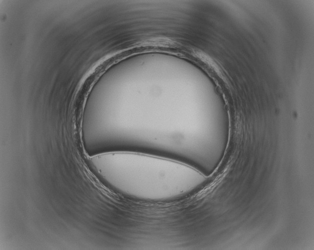 X0000067850923200604130915