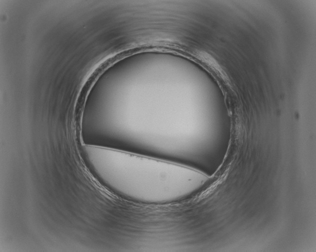 X0000067850924200604130915