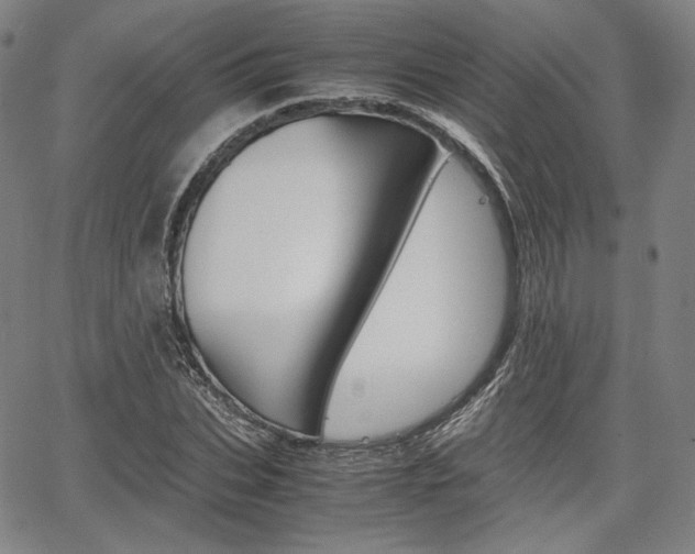 X0000067850927200604130915