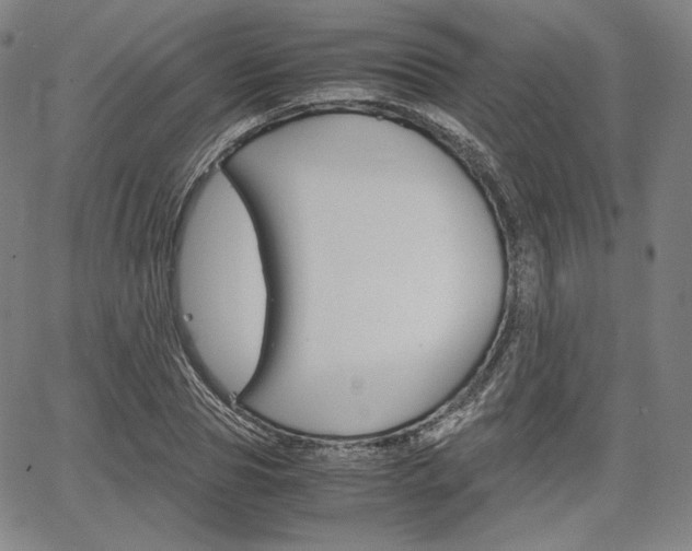 X0000067850929200604130915