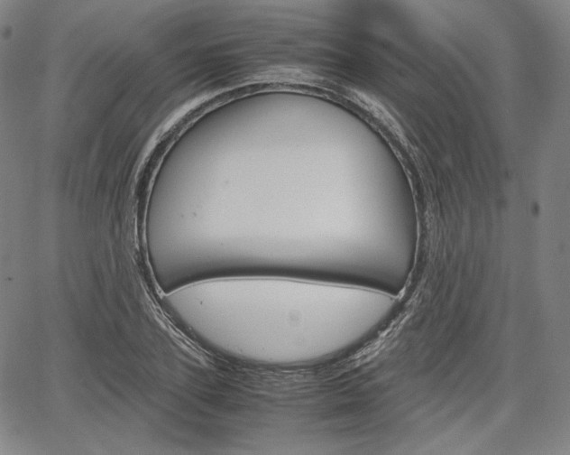 X0000067850931200604130915