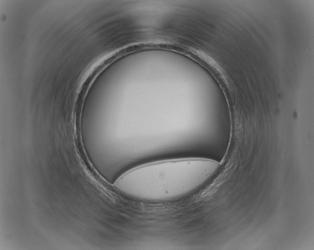 X0000067850935200604130916