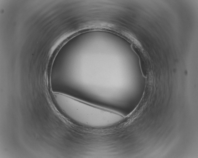 X0000067850936200604130916