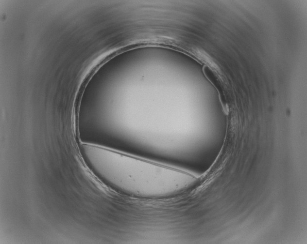 X0000067850940200604130916