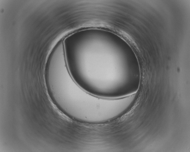 X0000067850942200604130916