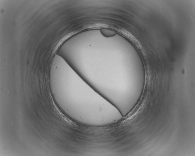 X0000067850945200604130916
