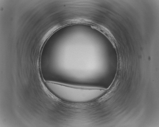 X0000067850946200604130916