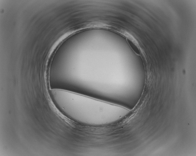 X0000067850947200604130916