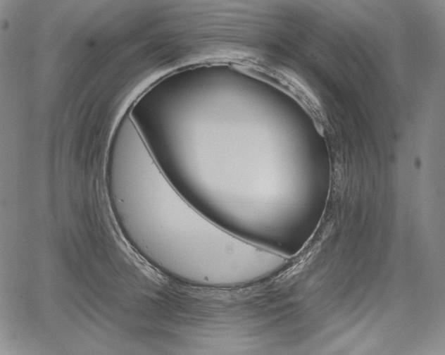 X0000067850948200604130916