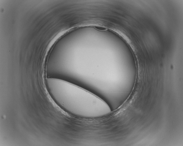 X0000067850949200604130916