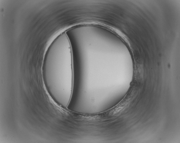 X0000067850951200604130916