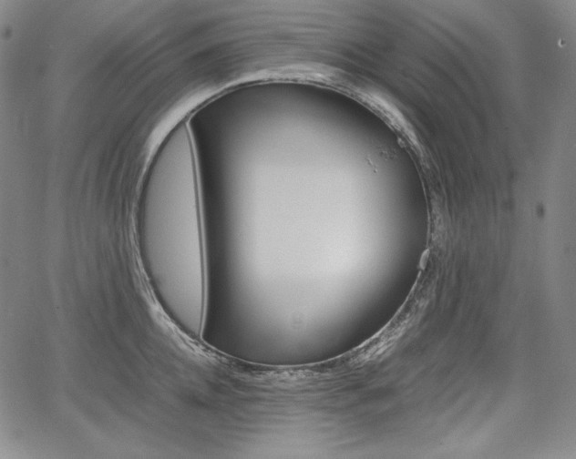 X0000067850952200604130916