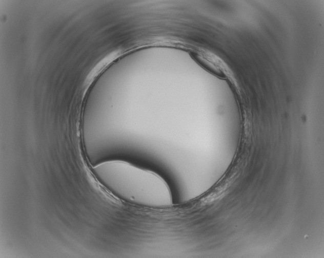X0000067850954200604130916