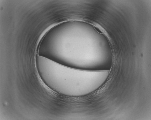 X0000067850955200604130916