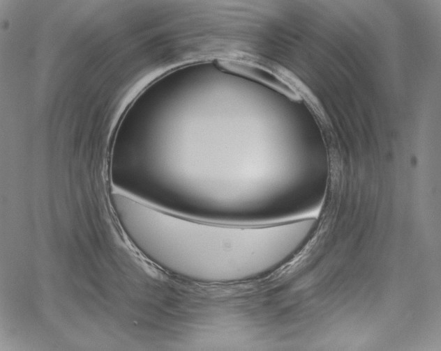 X0000067850956200604130916