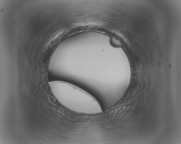 X0000067850967200604130915