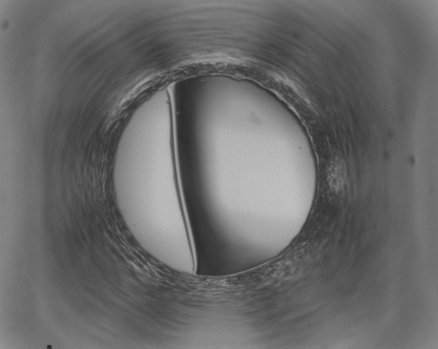 X0000067850968200604130915