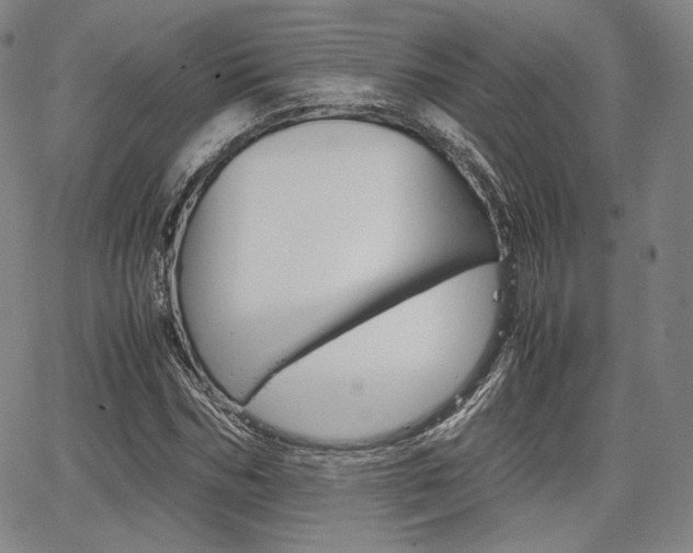 X0000067850970200604130915