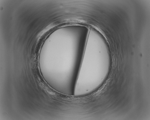 X0000067850971200604130915