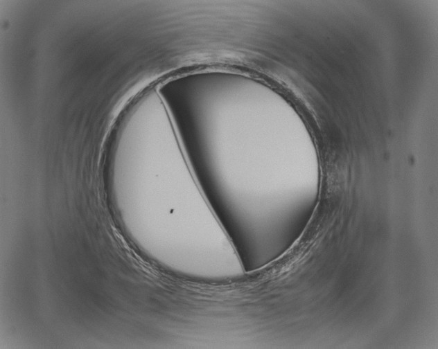 X0000067850975200604130915