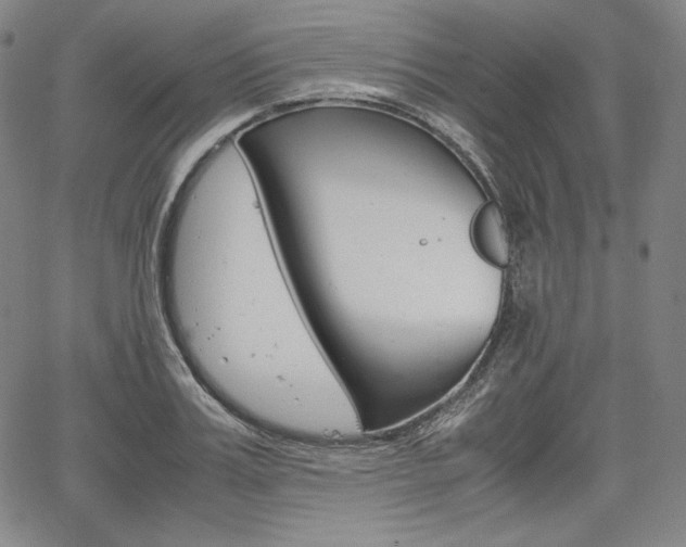 X0000067850987200604130915