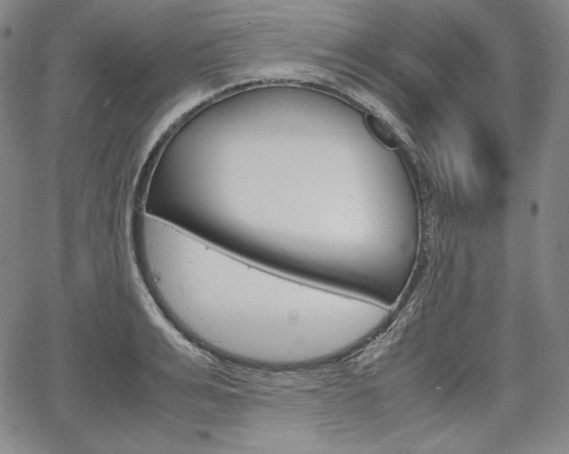X0000067850991200604130915