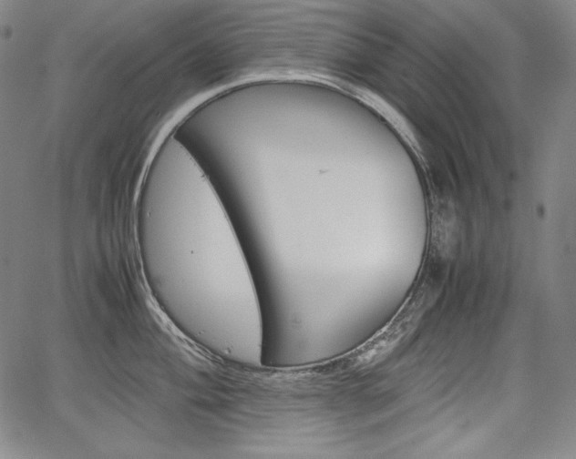 X0000067851004200604130914