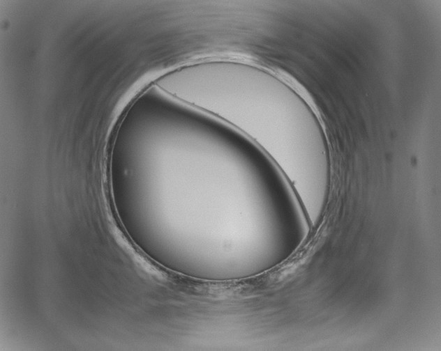 X0000067851005200604130914