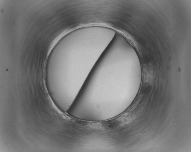 X0000067851006200604130914