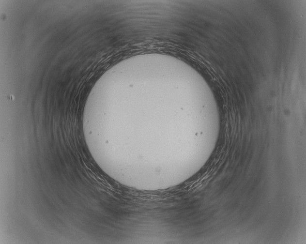 X0000067851010200604130914
