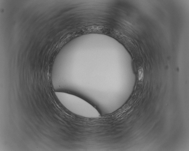 X0000067851011200604130914