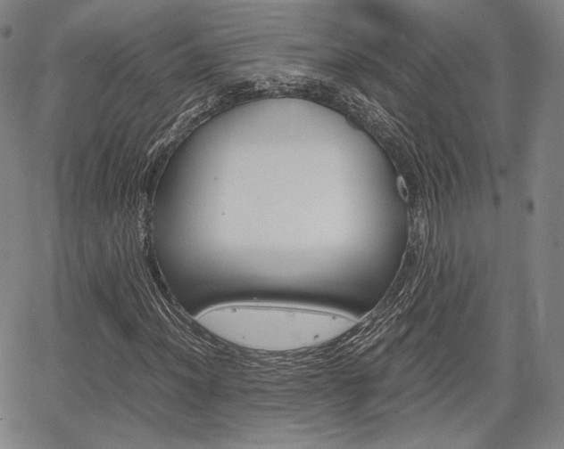 X0000067851012200604130914