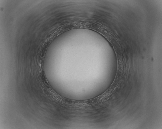 X0000067851013200604130914
