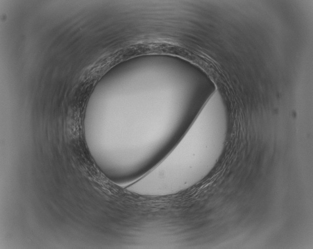 X0000067851014200604130914