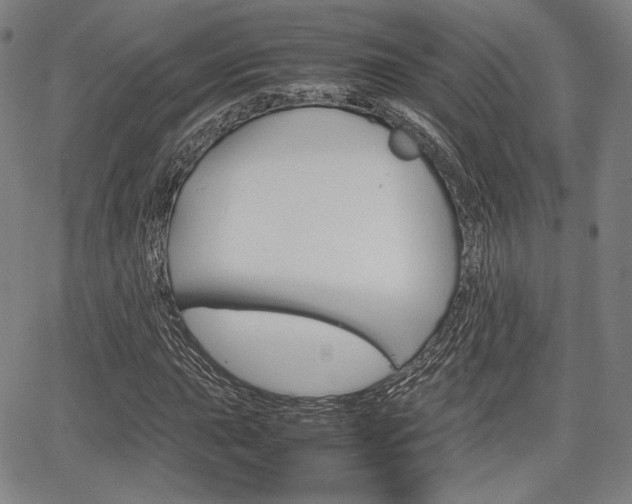 X0000067851015200604130914