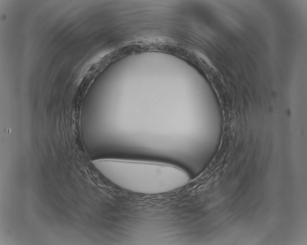 X0000067851016200604130914