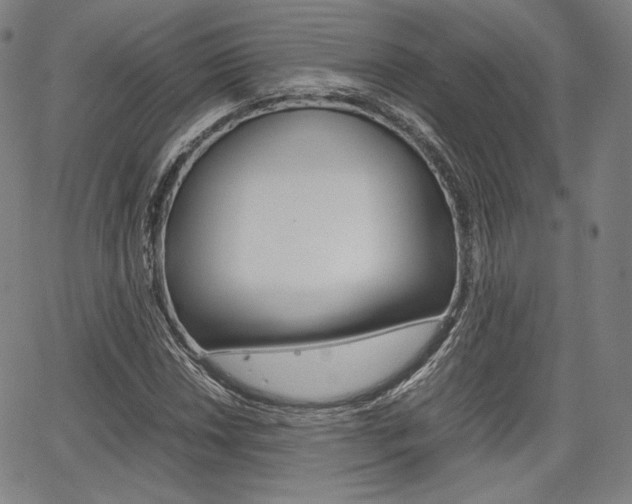 X0000067851018200604130914