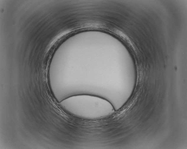 X0000067851019200604130914